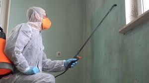 Best Industrial Mold Remediation  in Naples, FL